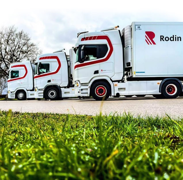 Rodin Transport Trucks